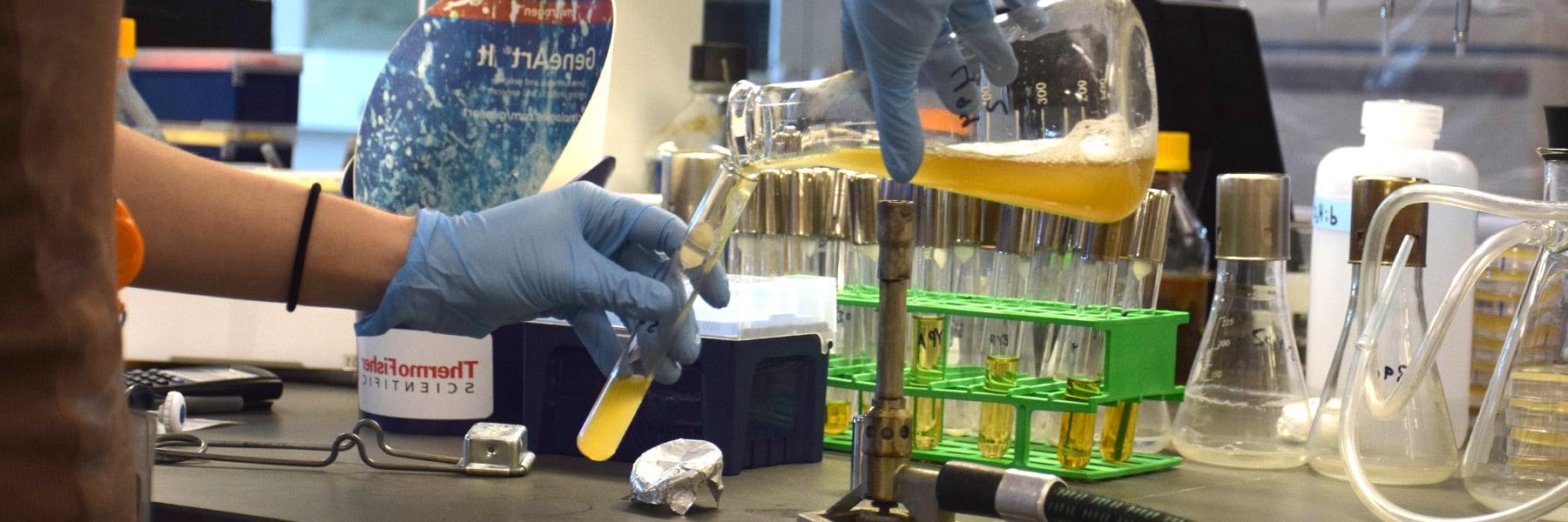 Close up of gloved hands pouring chemicals in test tubes.